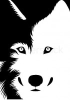/album/galeria/stock-vector-wolf-s-head-38467852-jpg/