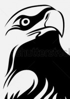 /album/galeria/stock-vector-design-of-an-eagle-40545610-jpg/