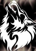 /album/galeria/kgrhqioko0e32-oy9r-boj1ryujbq-3-jpg/