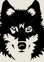 /album/galeria/wolf-vector-77099-jpg/